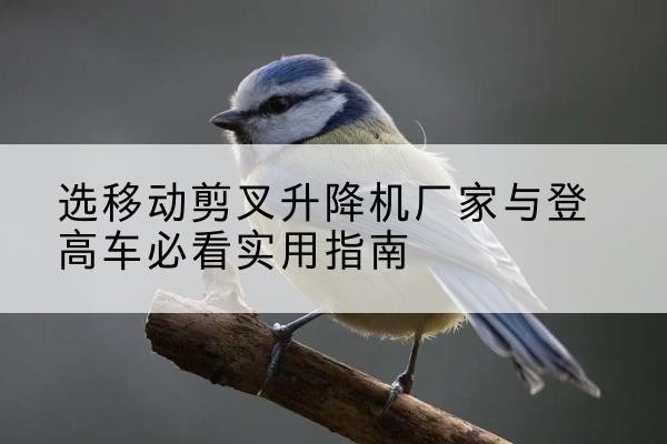 固原电动升降机厂家-选移动剪叉升降机厂家与登高车必看实用指南