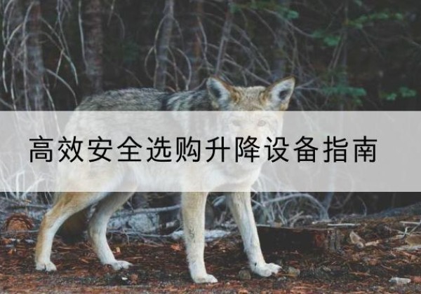 固原升降货梯厂家推荐-*安全选购升降设备指南